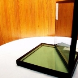 ���ܲ���